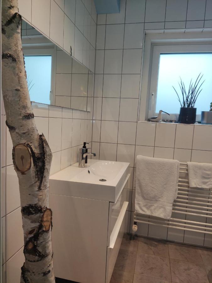 Zen Apartment - Spacious - Garden - Kitchen 卡尔斯鲁厄 外观 照片