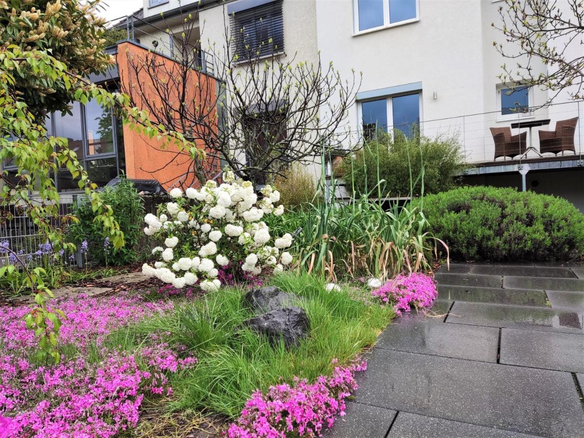 Zen Apartment - Spacious - Garden - Kitchen 卡尔斯鲁厄 外观 照片